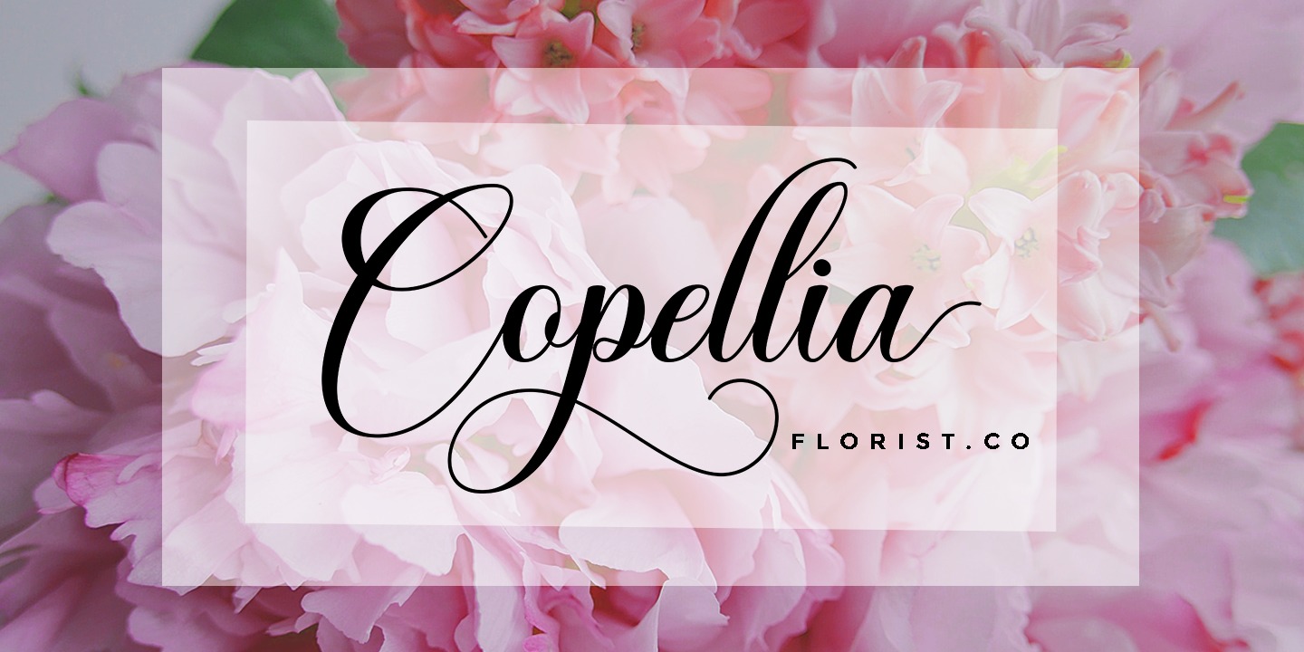 Hello Crystal Script